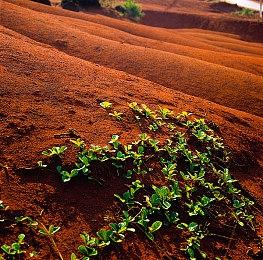 VR游戏公司nDreams新开设全远程办公工作室